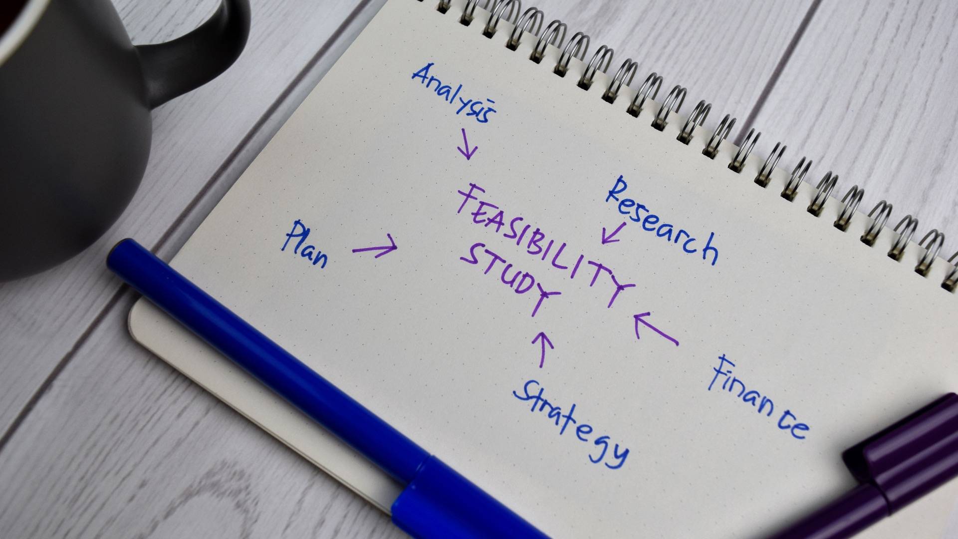 Feasibility Study